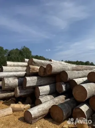 Сосна Кело сухостой для домостроения, продажа оптом. Лесосибирск