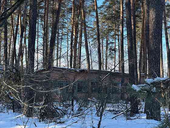 Продается готовый бизнес 10148.2 м2 Воронежская область