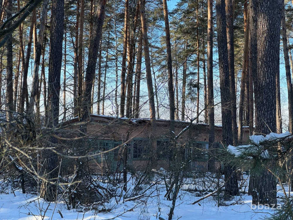 Продается готовый бизнес 10148.2 м2 Воронежская область - изображение 3