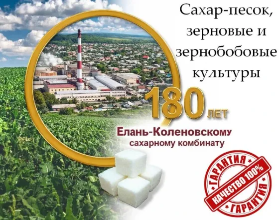 Сахар-песок, зерновые и зернобобовые культуры от Елань-Коленовский СЗ Воронеж