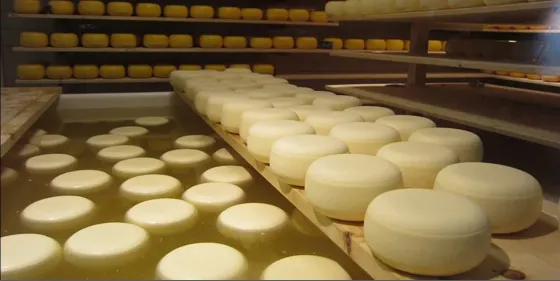 Продажа Сыроварни по производству мягких сыров, Юг России Ростов-на-Дону