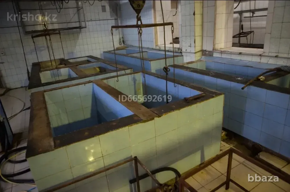 Заводской комплекс Мясо.Рыба.Птица. · 2000 м² Семипалатинск - изображение 4