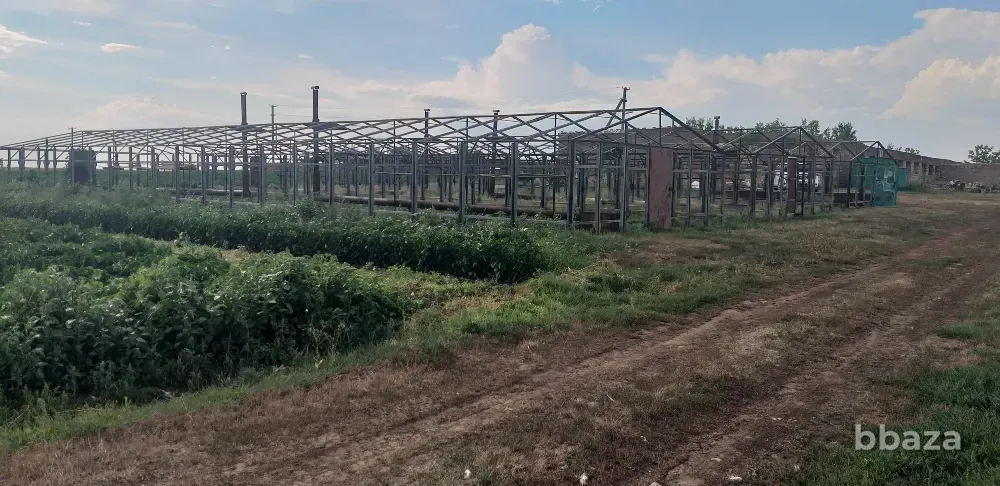 Продам земельный участок -производственная база Оренбург - изображение 3