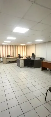 Сдаётся в аренду офисное помещение 233 м² Красноярск