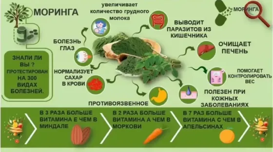 Маска для лица, тела и волос МОРИНГА порошок мелкодисперсный Сочи