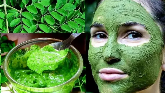 Маска для лица, тела и волос МОРИНГА порошок мелкодисперсный Сочи