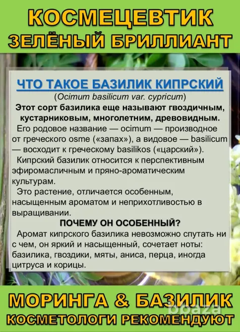 Космецевтик «Зелёный бриллиант» для лица, тела и волос. Сочи - изображение 4