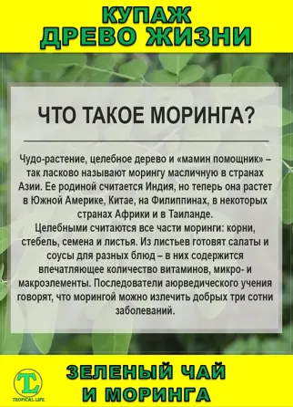 Функциональный купаж Древо Жизни. Моринга и Зеленый чай Сочи
