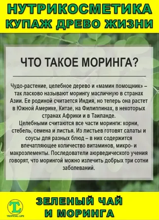 Нутрикосметика Купаж «Древо Жизни» Моринга и Зеленый чай Сочи