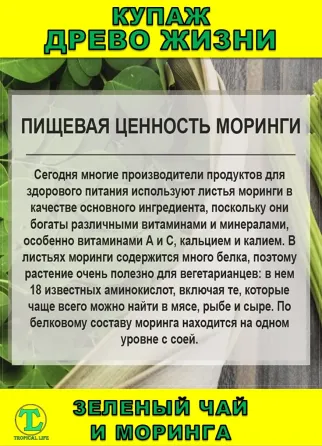 Функциональный купаж Древо Жизни. Моринга и Зеленый чай Сочи