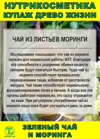 Нутрикосметика Купаж «Древо Жизни» Моринга и Зеленый чай Сочи