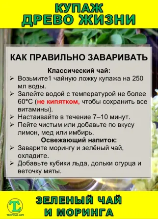 Функциональный купаж Древо Жизни. Моринга и Зеленый чай Сочи