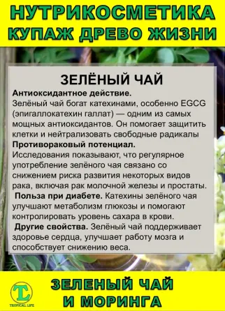 Нутрикосметика Купаж «Древо Жизни» Моринга и Зеленый чай Сочи
