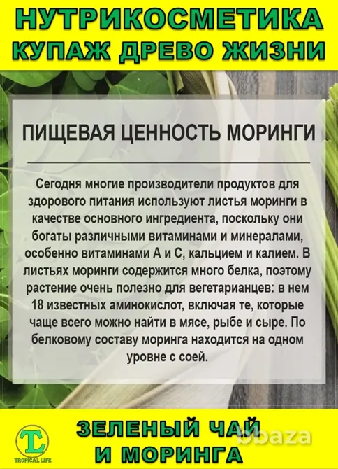Нутрикосметика Купаж «Древо Жизни» Моринга и Зеленый чай Сочи - изображение 3