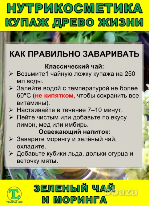Нутрикосметика Купаж «Древо Жизни» Моринга и Зеленый чай Сочи - изображение 6