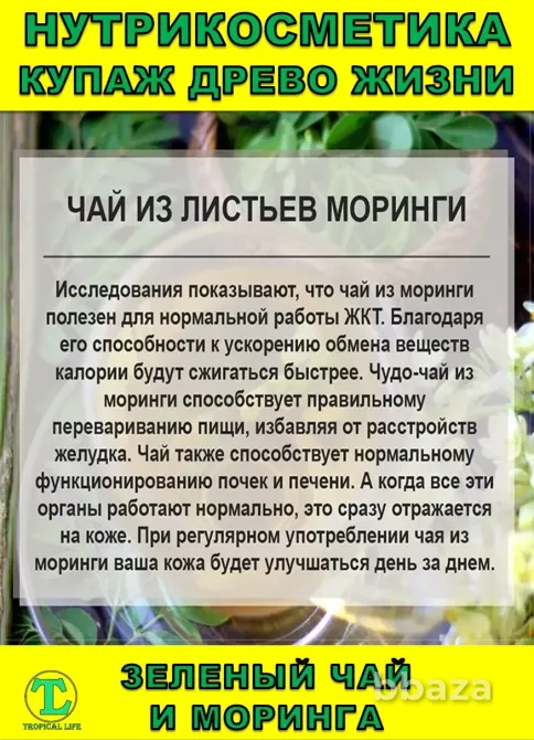Нутрикосметика Купаж «Древо Жизни» Моринга и Зеленый чай Сочи - изображение 4