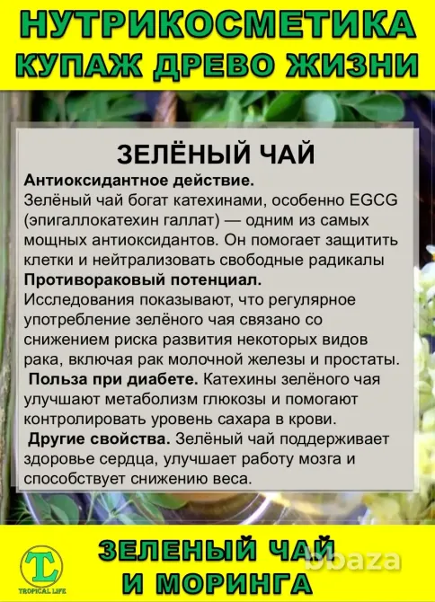 Нутрикосметика Купаж «Древо Жизни» Моринга и Зеленый чай Сочи - изображение 5