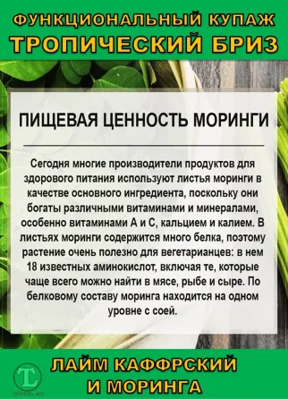 Функциональный купаж Тропический Бриз. Моринга и Каффрский лайм Сочи