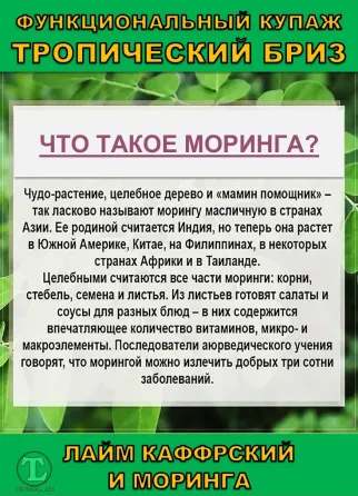 Функциональный купаж Тропический Бриз. Моринга и Каффрский лайм Сочи