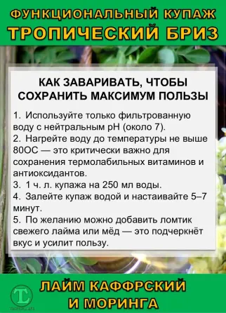 Функциональный купаж Тропический Бриз. Моринга и Каффрский лайм Сочи