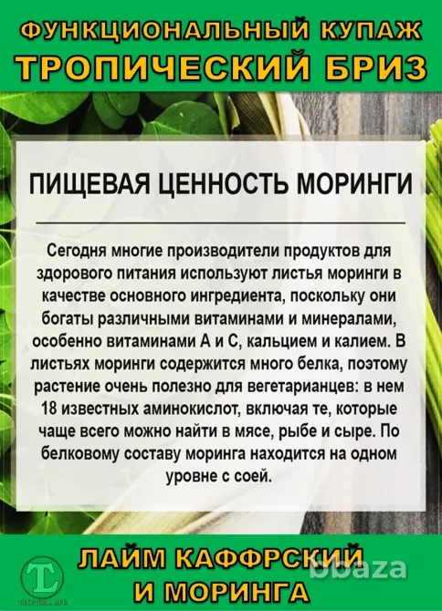 Функциональный купаж Тропический Бриз. Моринга и Каффрский лайм Сочи - изображение 3