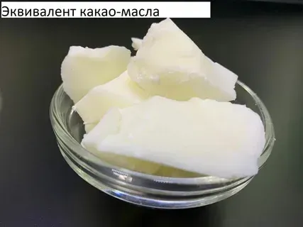 Какао-продукты. Заменитель масла какао. Опт. Санкт-Петербург