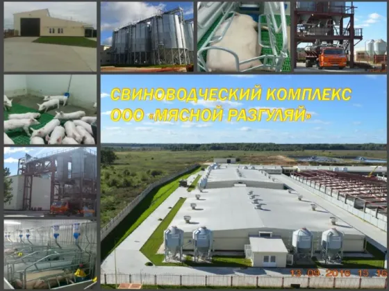 Свиноводческий комплекс ООО "МЯСНОЙ РАЗГУЛЯЙ" Смоленск
