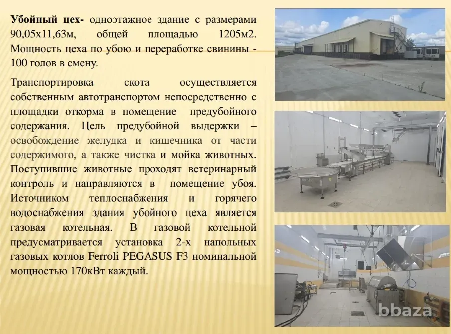 Свиноводческий комплекс ООО "МЯСНОЙ РАЗГУЛЯЙ" Смоленск - изображение 7