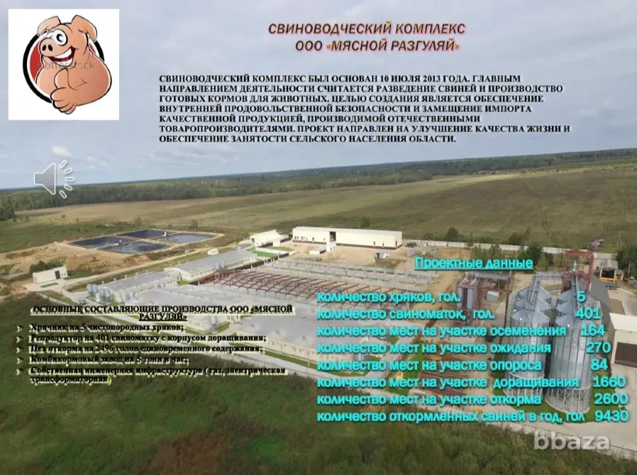 Свиноводческий комплекс ООО "МЯСНОЙ РАЗГУЛЯЙ" Смоленск - изображение 2