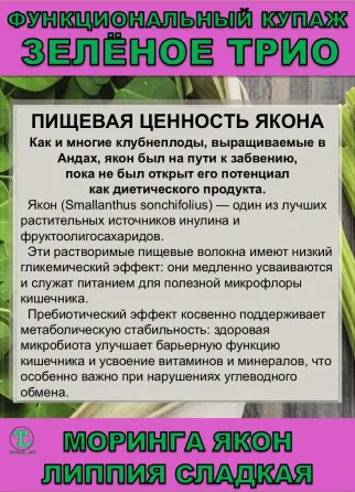 Функциональный купаж Зелёное Трио. Моринга, Якон, Липпия сладкая Сочи