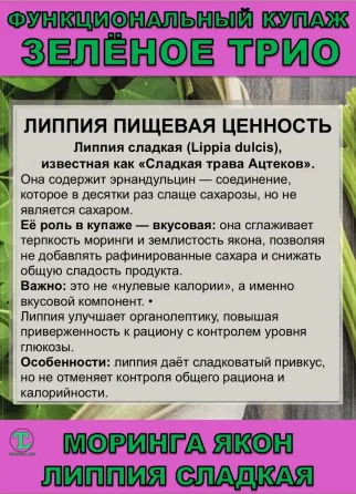 Функциональный купаж Зелёное Трио. Моринга, Якон, Липпия сладкая Сочи