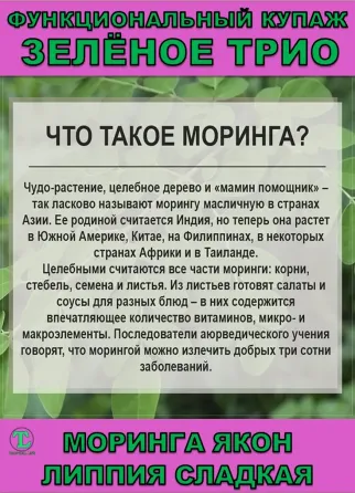 Функциональный купаж Зелёное Трио. Моринга, Якон, Липпия сладкая Сочи