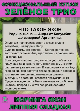 Функциональный купаж Зелёное Трио. Моринга, Якон, Липпия сладкая Сочи