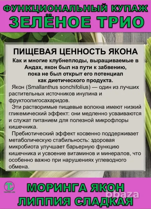 Функциональный купаж Зелёное Трио. Моринга, Якон, Липпия сладкая Сочи - изображение 5