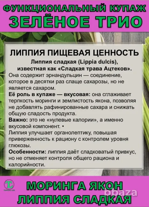Функциональный купаж Зелёное Трио. Моринга, Якон, Липпия сладкая Сочи - изображение 6