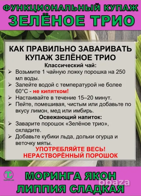 Функциональный купаж Зелёное Трио. Моринга, Якон, Липпия сладкая Сочи - изображение 7