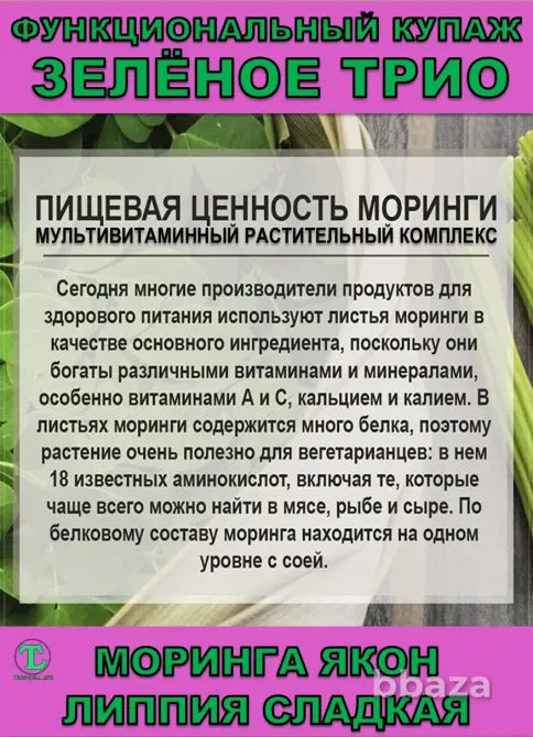 Функциональный купаж Зелёное Трио. Моринга, Якон, Липпия сладкая Сочи - изображение 3
