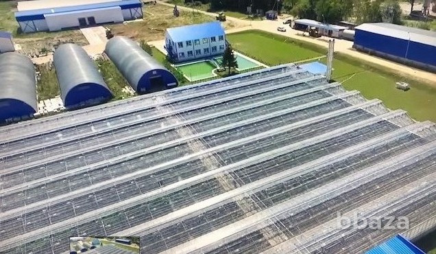 Аренда склада 589 м2 Калужская область - изображение 3