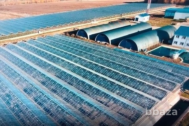 Продаю производство 240240 м2 Калужская область - изображение 2