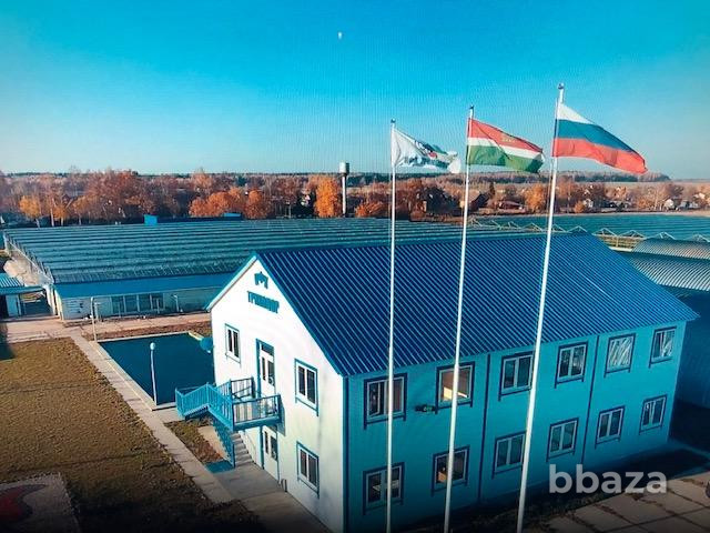 Продаю производство 240240 м2 Калужская область - изображение 1