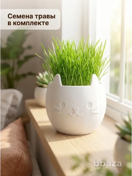 Набор для выращивания и творчества котик Иркутск - изображение 1