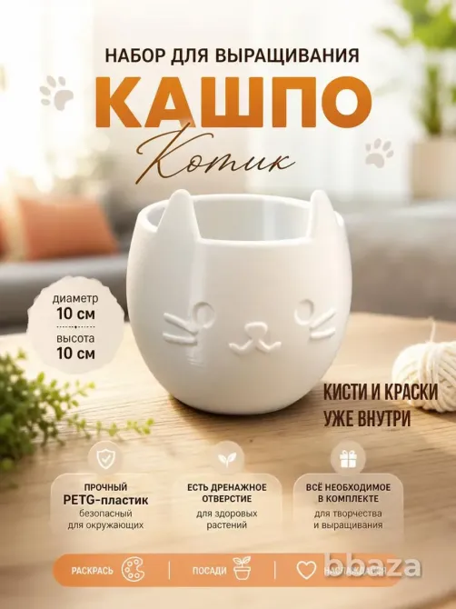Набор для выращивания и творчества котик Иркутск - изображение 2