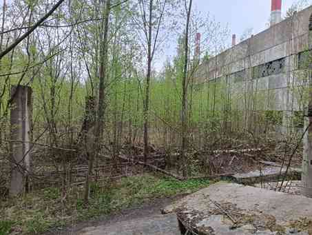 Земельный участок 225 сот. с объектами НЗС в Лен. области Кириши
