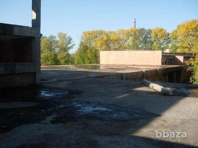Продается отдельно-стоящее здание  (бассейн)2703 м2 Рыбинск - изображение 10