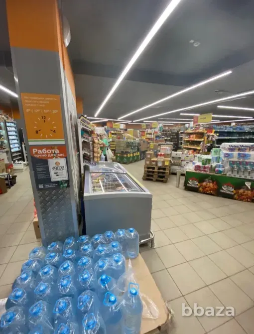 Продажа арендного бизнеса с Дикси. Балашиха - изображение 9