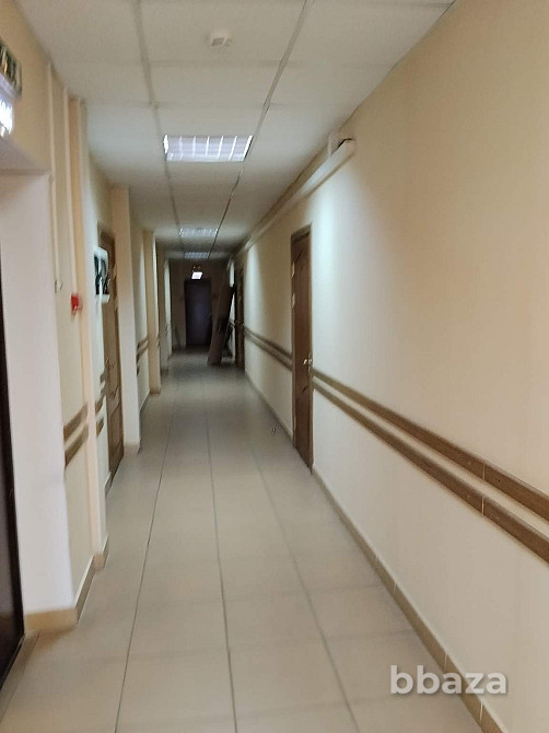 Торговое помещение 249 м2 в аренду Калуга - изображение 3