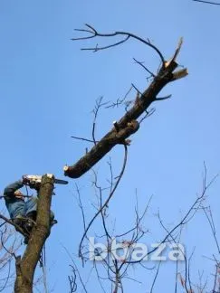 Демонтаж дач, домов, зданий, сооружений. Вывоз мусора с объектов. Калуга - изображение 9