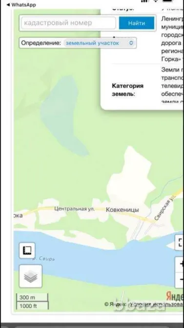 Продаю участок 25 соток на реке Свирь — первая линия, тишина Санкт-Петербург - изображение 4
