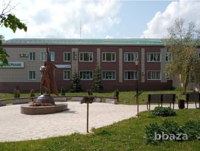 Здание 38,2 кв.м с движимым имуществом в с. Мишкино Башкортостан (Башкирия) - изображение 1