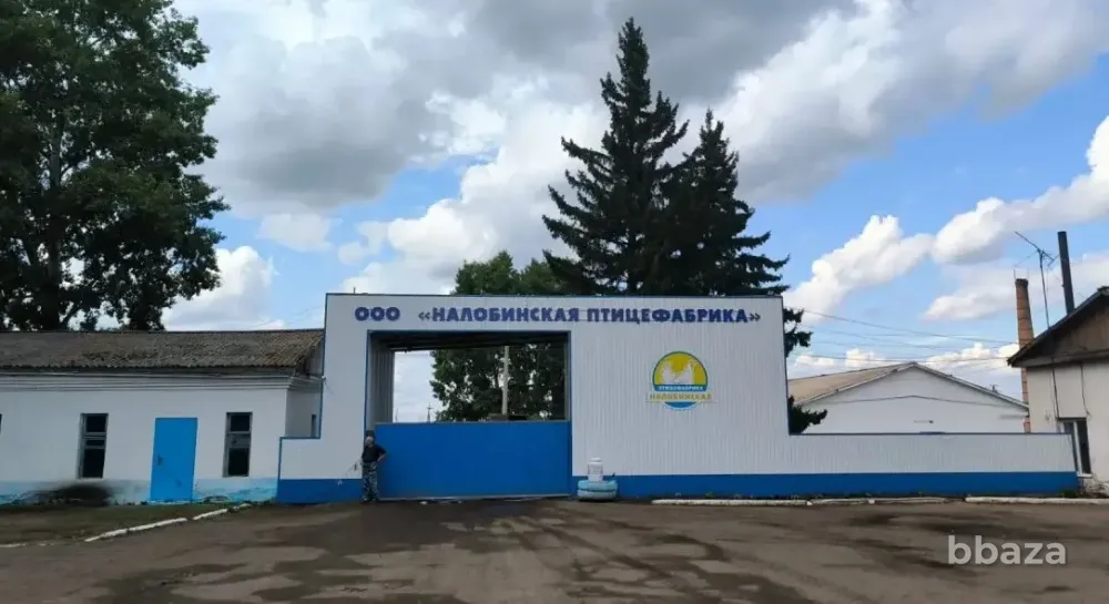 ООО "Налобинская птицефабрика" Красноярск - изображение 1